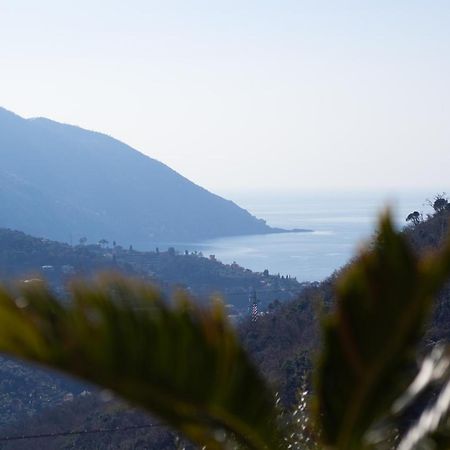 Villa Le Macine Molino Nuovo  ภายนอก รูปภาพ
