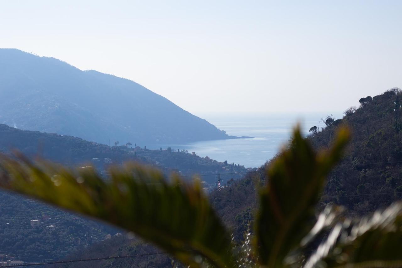 Villa Le Macine Molino Nuovo  ภายนอก รูปภาพ